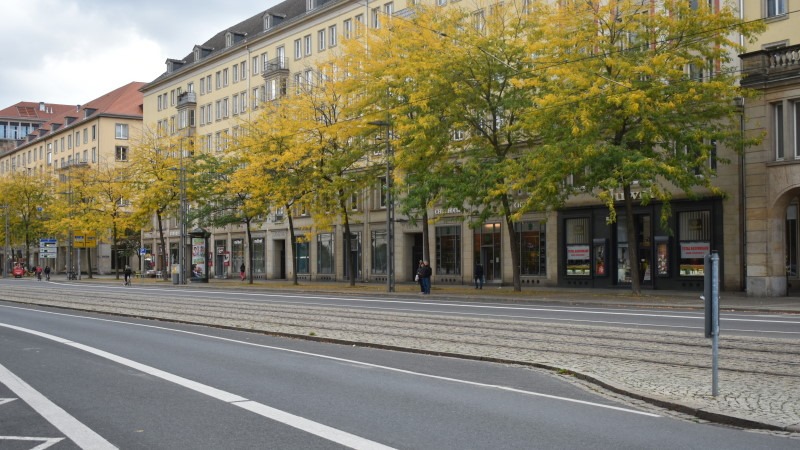 Dresden als WHO-Mitgliedsstadt bestätigt ©MeiDresden.de