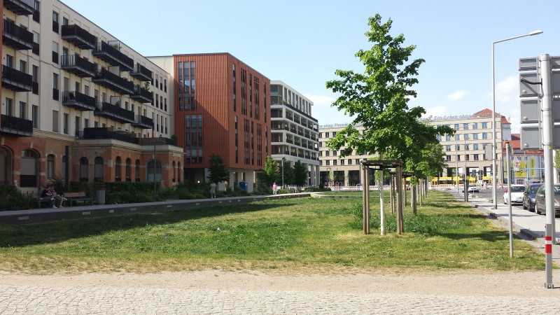 Auswertungen zum Stadtgrün - Fertiggestellter Promenadenring West ©MeiDresden.de