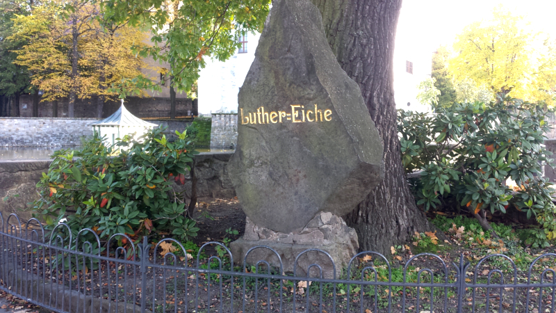 Gedenkstein an der Luthereiche, die zu Ehren des Reformators Martin Luther gepflanzt wurde ©MeiDresden.de/Frank Loose
