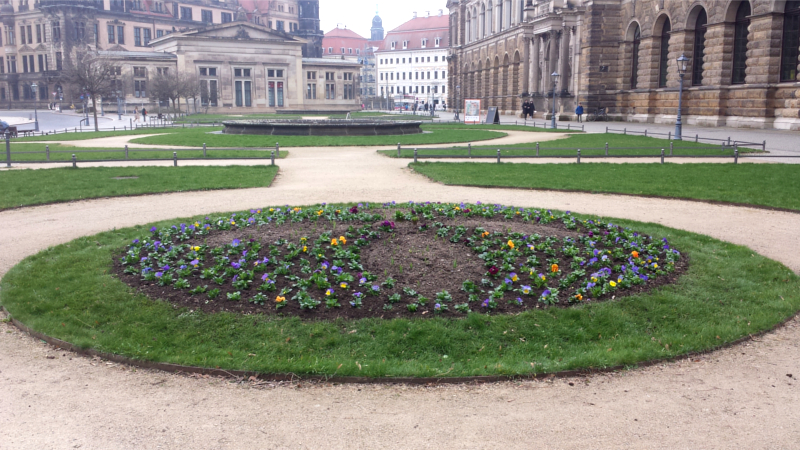 Es wird Frühlinng in Dresden, wie hier vor der Sempergallerie ©MeiDresden.de