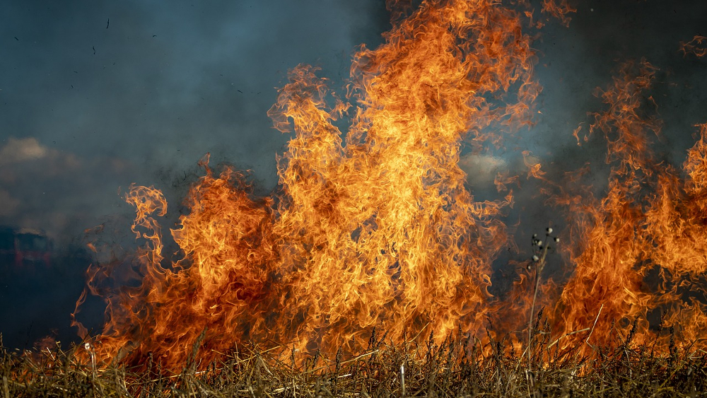 Die Gefahr von Wiesen- und Feldbränden steigt an, bitte keine Kippen oder ähnliches achtlos wegwerfen ©Symbolfoto(Pixabay)