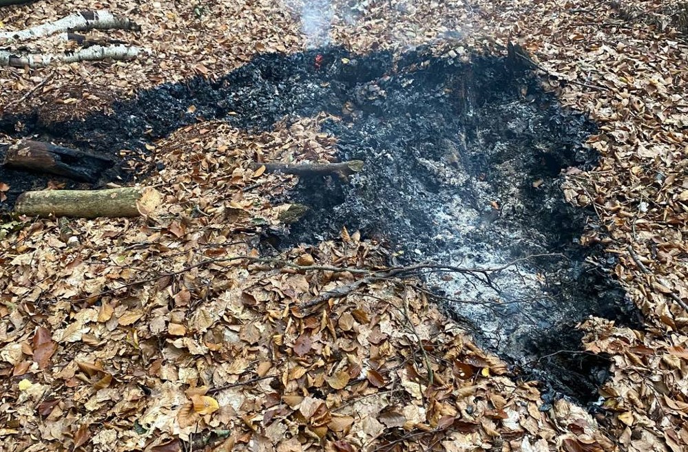 Foto: Nationalparkwacht Schmilka