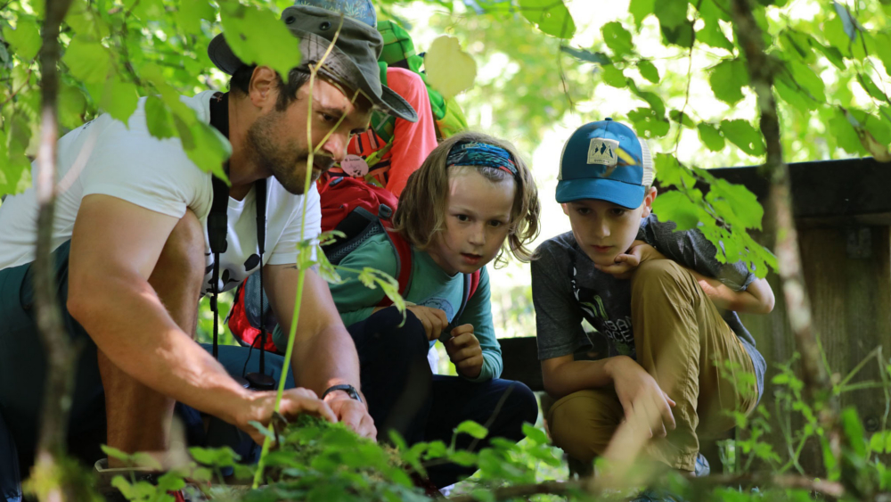 Wenn Eltern und Kinder gemeinsam die Natur neu entdecken, stärkt das auch die Familienbande. Foto: DJD/WWF Deutschland/Ronja Bachofer