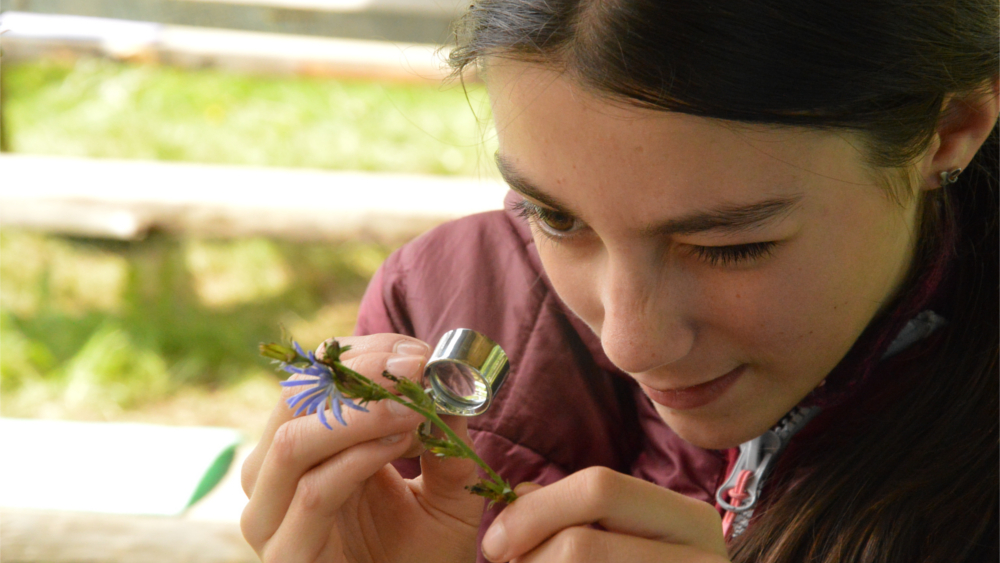 Jugendliche beim Bestimmen von Pflanzen JuNa Camp 2024 ©Miriquidica e.V. 