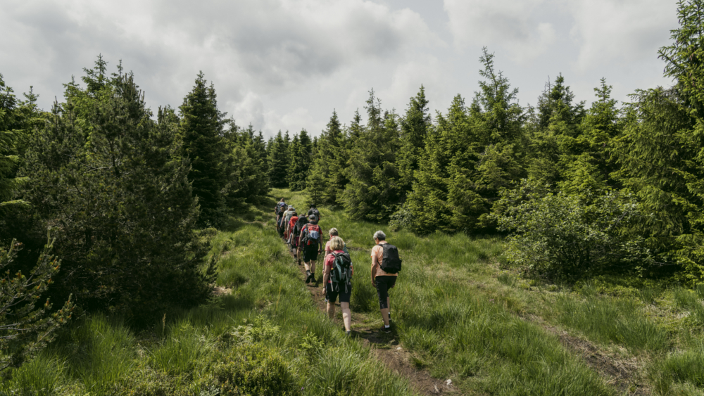 Gruppenwanderung Oberwiesenthal © TVE Dirk Rückschloss
