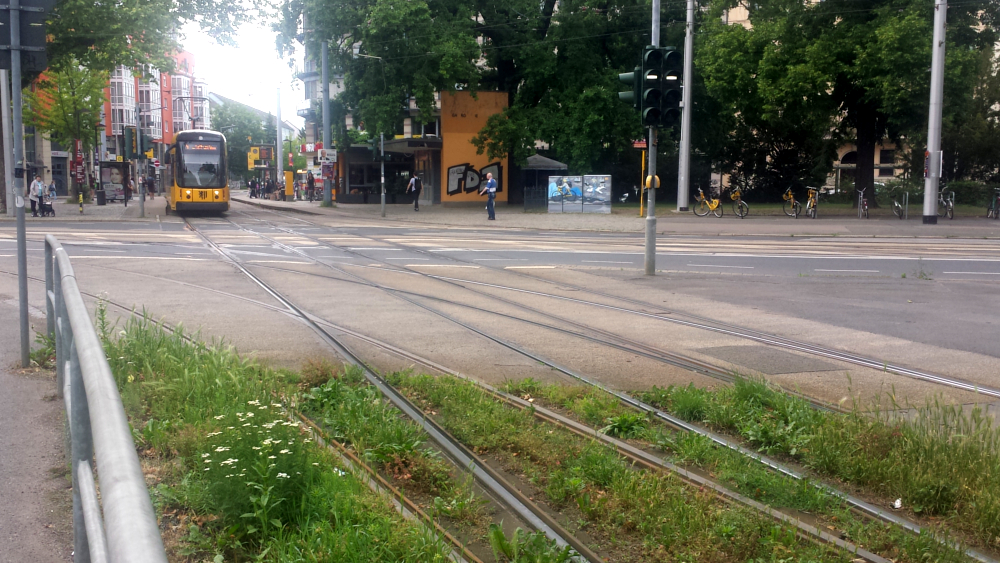 Ab Freitag, 31. Mai wird der Fetscherplatz modernisiert ©MeiDresden.de