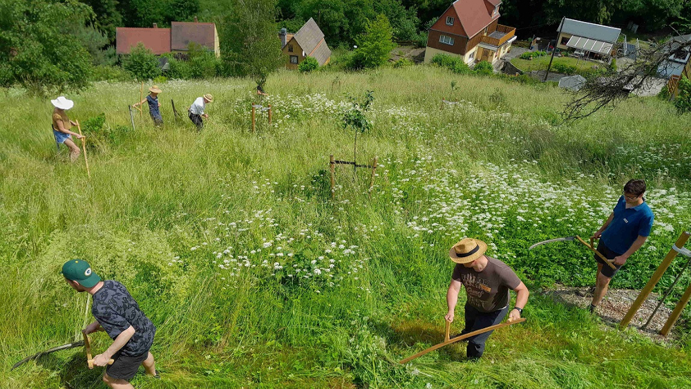Motorbetriebene Mähgeräte haben die Sense in Mitteleuropa fast verdrängt. Gleichwohl entdecken immer mehr Menschen die Sense als altbewährtes wie effizientes Mähwerkzeug für sich neu.  ©D. Ackermann