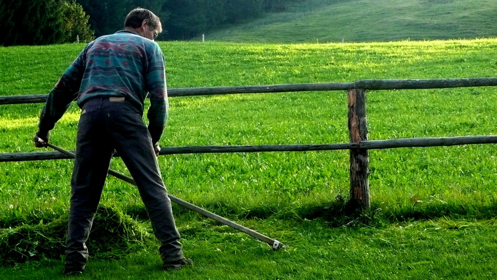 Die Sense ist ein geniales Werkzeug - ausgeklügelt und raffiniert ©Iris (Pixabay)