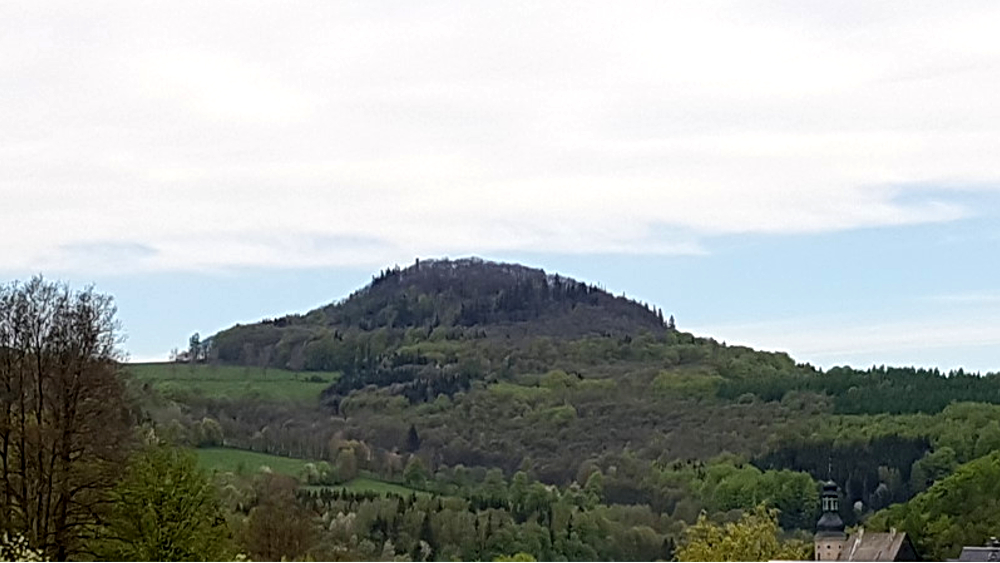 Die Natur im Elbsandsteingebirge reagiert auf die Klimaerwärmung ©MeiDresden.de