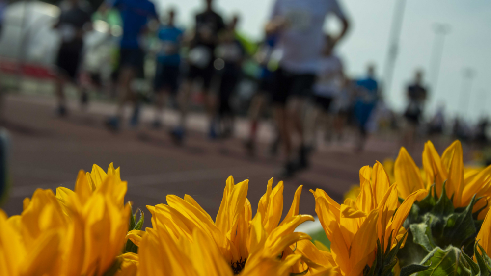 Laufend gegen Krebs 2023 in Dresden ©Sächsische Krebsgesellschaft e. V.