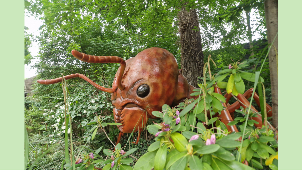 Blattschneiderameise im XXL Format ©Zoo Leipzig