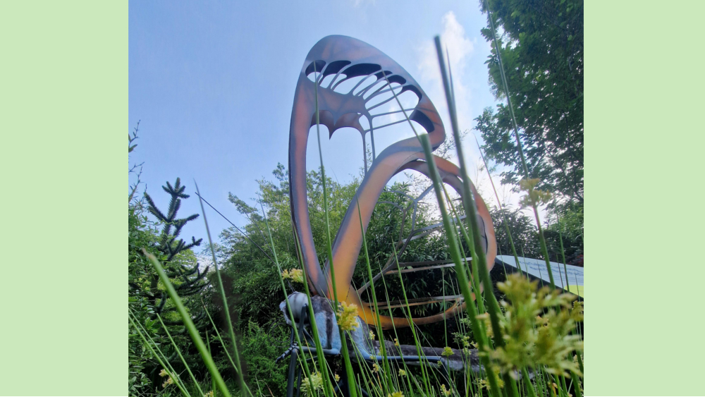 19 Glasflügelfalter Flugkünstler mit filigraner Bauweise ©Zoo Leipzig