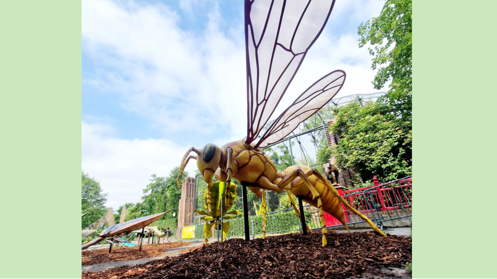 Macao Papierwespe als Vertreterin der vietnamesischen Insekten ©Zoo Leipzig
