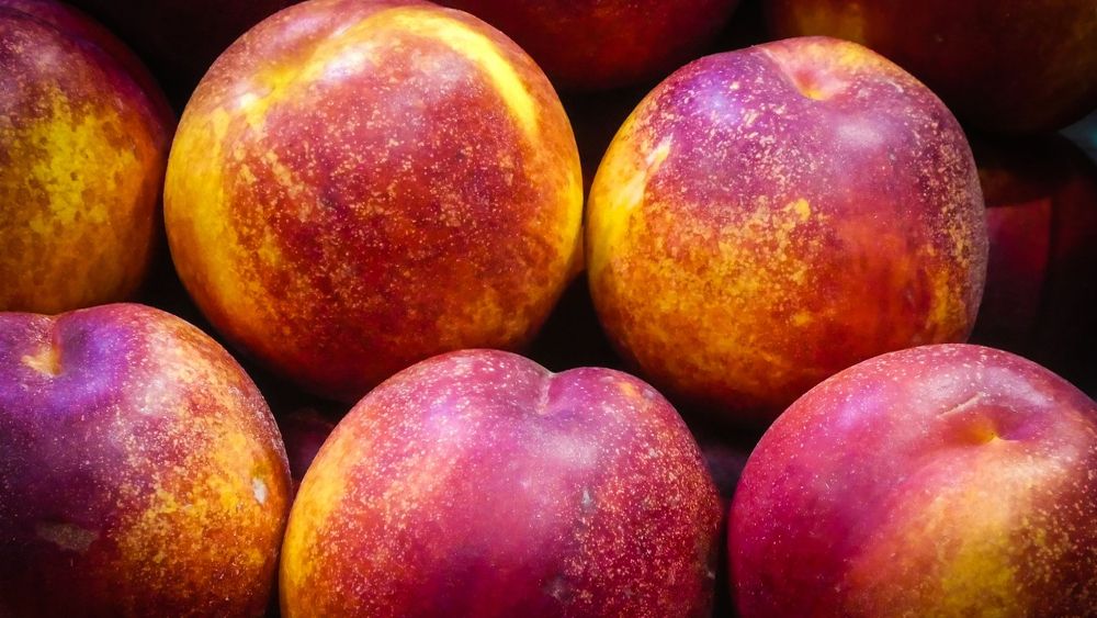 Pestizide in Nektarinen: Sieben von zwölf Produkten überzeugen im Test  ©Ruth Archer (Pixabay)