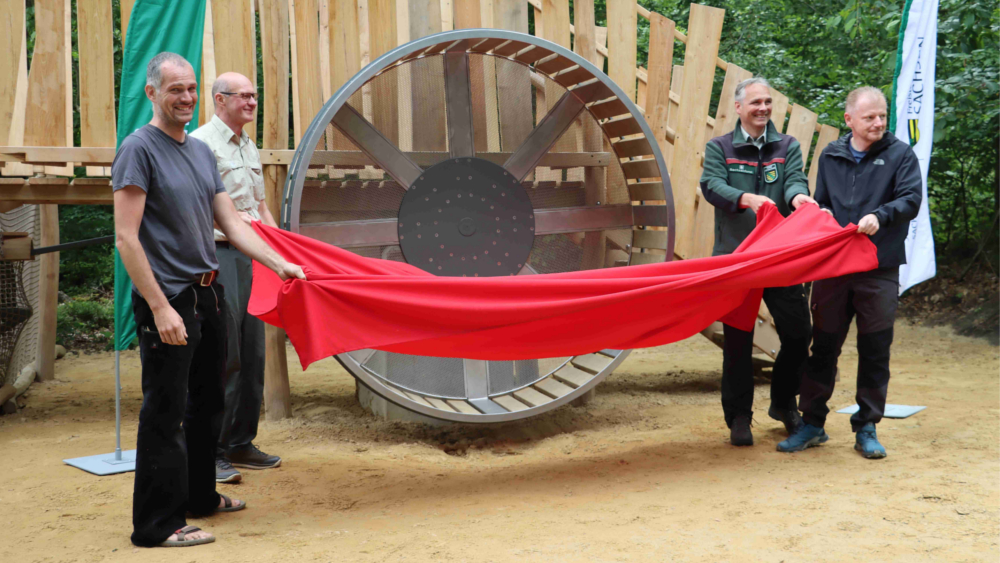 Zimmermann Bernhard Witte als Spezialbetrieb für Holz- und Spielgeräte und hauptverantwortlich für den Bau, Nationalparkrevierleiter Matthias Protze, Nationalpark- Forstverwaltungsleiter Uwe Borrmeister und der Hinterhermsdorfer Ortsvorsteher Sven Wießner freuen sich, die bundesweit wohl einmalige Schausäge in der Waldhusche enthüllen zu können. Sie steht im 60 Hektar großen Walderlebnisgelände Waldhusche der Nationalpark- und Forstverwaltung Sächsische Schweiz unmittelbar am familienfreundlichen Urlaubsort Hinterhermsdorf.  ©J. Weber