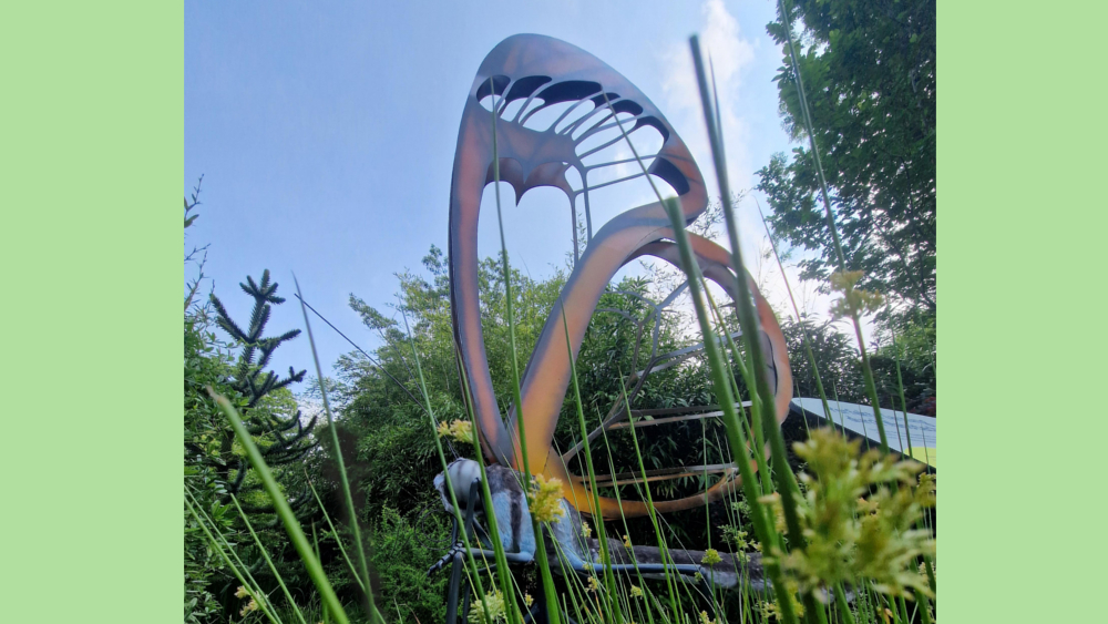 Glasflügelfalter Flugkünstler mit filigraner Bauweise-  Entdeckertage Insekten am Wochenende ©Zoo Leipzig