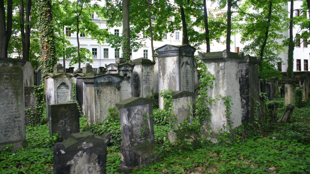 Anlage Alter Jüdischer Friedhof Dresden ©Irina Suttner