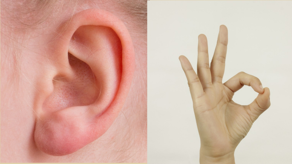 Tag des Zuhörens am 18. Juli: Fünf Finger für eine bessere Kommunikation ©Symbolfotos (Pixabay)