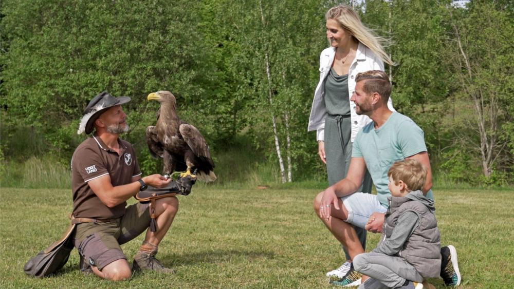 Die Falknerei Herrmann ist ein spannendes Ausflugsziel für Familien im Vogtland. Foto: DJD/Tourismusverband Vogtland/T. Peisker