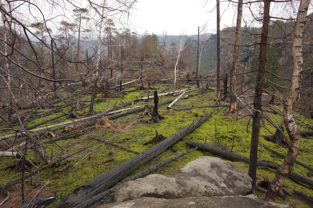 Foto: © Hartmut Landgraf 