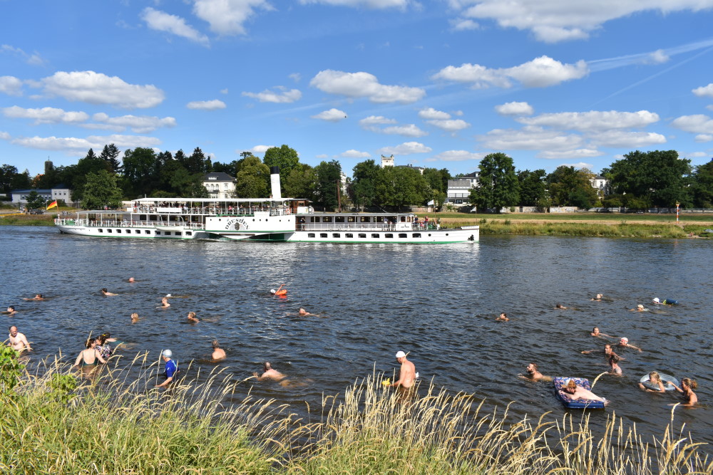 Foto Archiv © MeiDresden.de