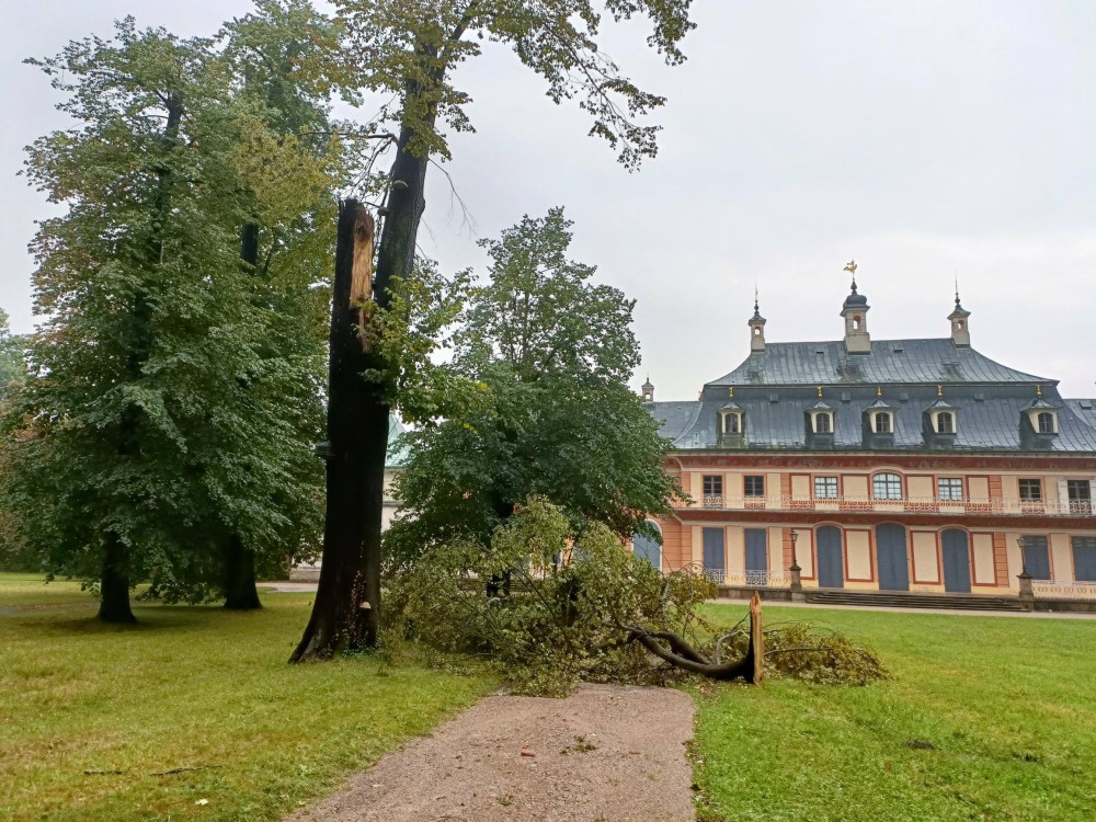 Astabbruch hinter Bergpalais   Foto: © Schlösserland Sachsen 