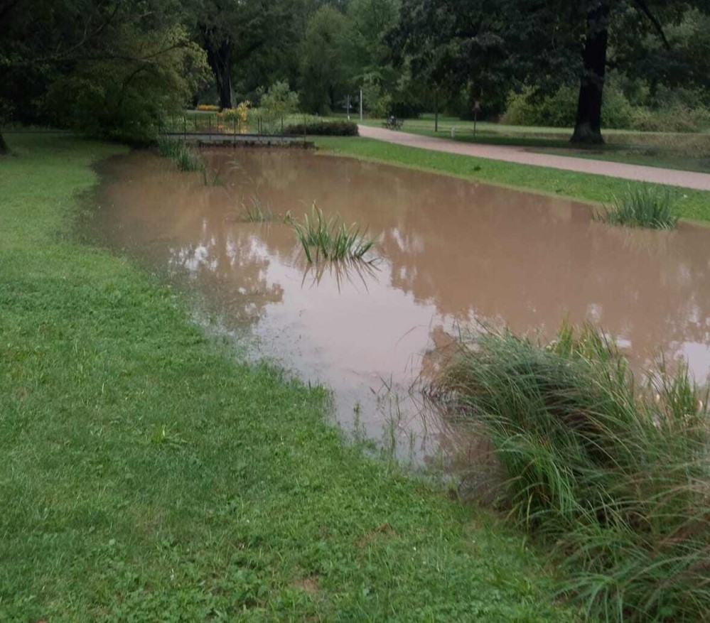 Kaitzbach über die Ufer getreten    Foto: © Schlösserland Sachsen 