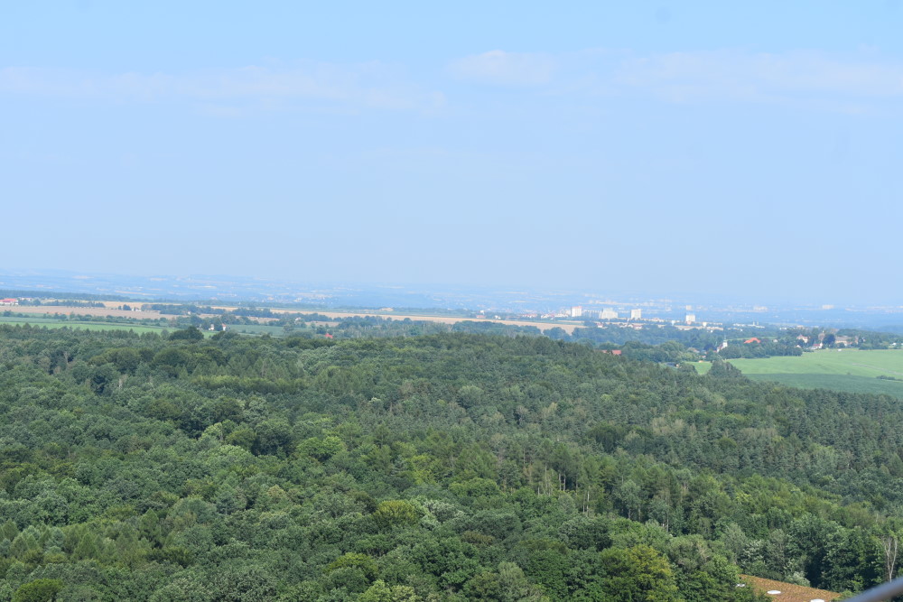 Foto: MeiDresden.de