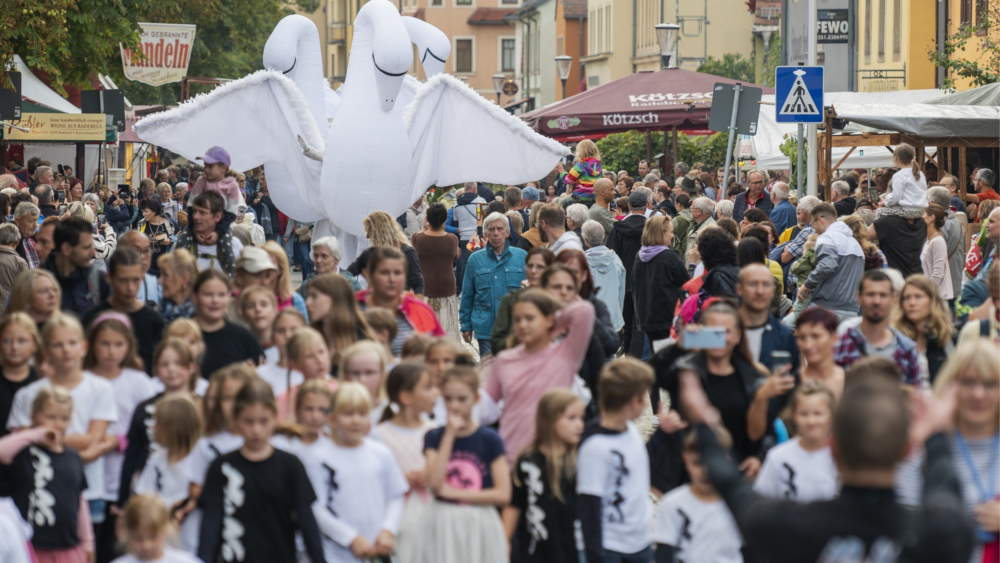 Weinfest Radebeul Umzug 2023 © Millauer