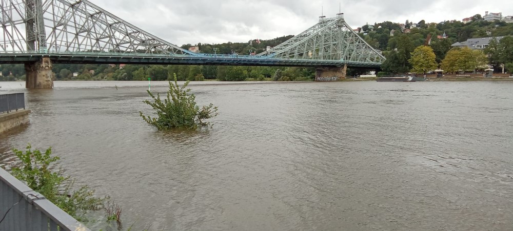 Hochwasser am Blauen Wunder Dresden   Foto: © Petra Eichler