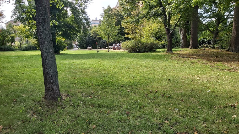 Der Dresdner Volkspark © MeiDresden.de