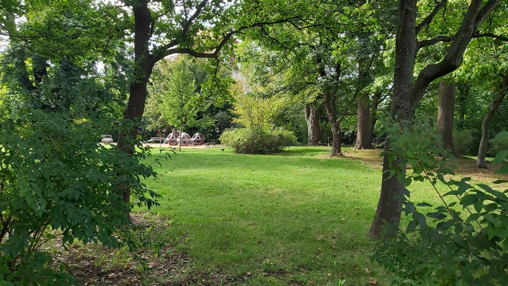 Der Dresdner Volkspark © MeiDresden.de