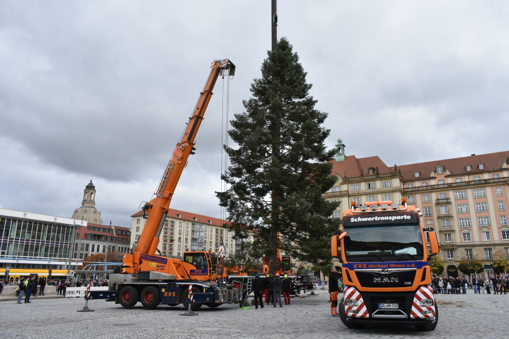 Foto: MeiDresden.de