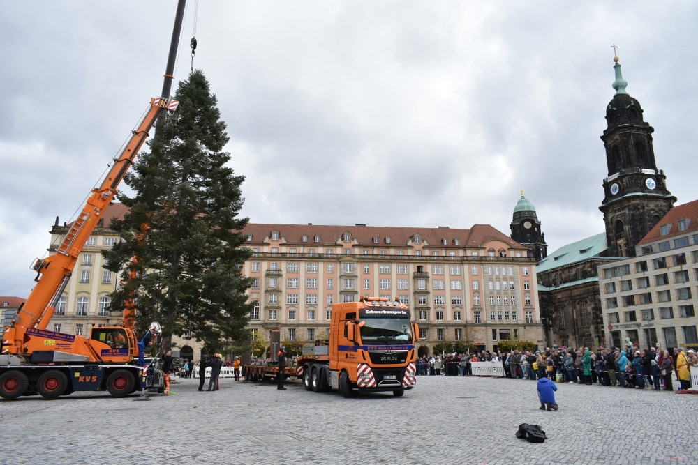 Foto: © MeiDresden.de/Mike Schiller