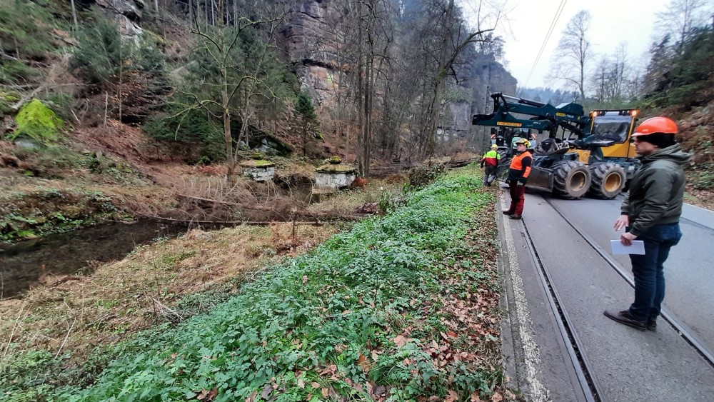 Foto: Hp. Mayr  - Mitarbeitende der Nationalpark- und Forstverwaltung von Sachsenforst und beauftragter Firmen bewegen gefällte Borkenkäferfichten über die Kirnitzsch zur Straße, um sie dort zu häckseln und anschließend abzutransportieren. 
