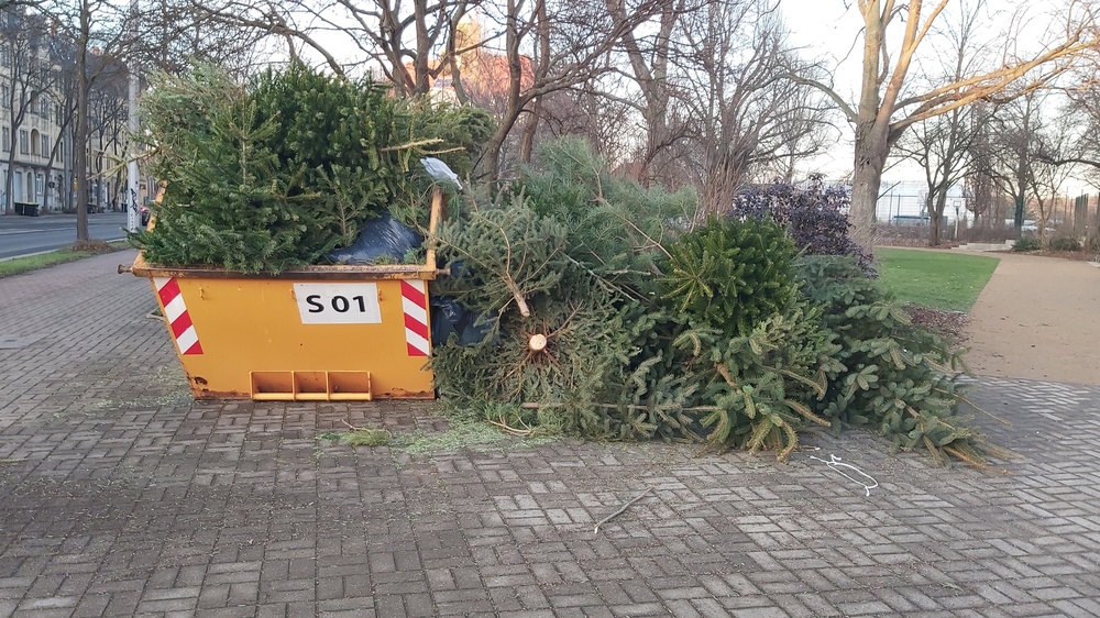 Weihnachtsbaum Sammelstelle am Pestalozzipklatz in Pieschen. Foto:MeiDresden.de/ Frank Loose