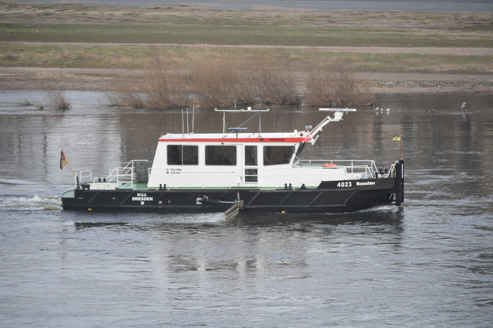 Messschiff „Rosslau“ des Wasserstraßen- und Schifffahrtsamtes (WSA) Elbe am 21.01.2025 mehrere Messfahrten unterhalbhalb der Carolabrücke durch   Foto: © MeiDresden.de/Mike Schiller