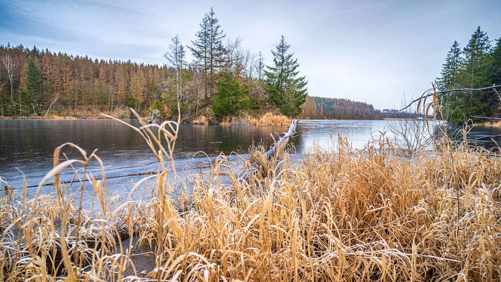 Zu jeder Jahreszeit lässt sich im Oberharz die Wanderlust wecken, wenn Naturerlebnisse auf steilen Klippen oder in Höhlen, Entdeckungen in alten Burgruinen oder Bergwerken warten. Foto: DJD/Rübeländer Tropfsteinhöhlen/Jan Reichel