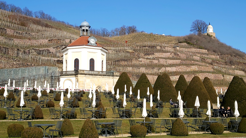 Sektfrühling auf Schloss Wackerbarth. Foto: MeiDresden.de