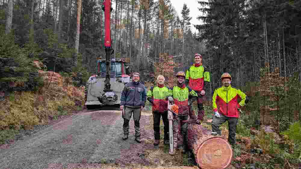 Revierleiter Olav Spengler und Forstwirte der Nationalpark- und Forstverwaltung von Sachsenforst haben eine Lärche für die Submission ausgewählt und so gefällt und aufbereitet, dass sie ohne Risse oder sonstige Schäden zum Verkauf angeboten werden konnte. Der 7 m lange und 44 cm starke Stamm erzielt einen Preis von ca. 716 €. Eine niederländische Firma hat den Stamm gekauft und wird daraus begehrtes Furnier herstellen. Foto: K. Zinnert