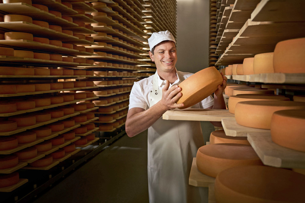 Während der Fermentation wandeln Milchsäurebakterien Laktose in Milchsäure um. Heumilchkäse gilt daher als laktosefrei. Foto: DJD/ARGE Heumilch/Robert Staudinger