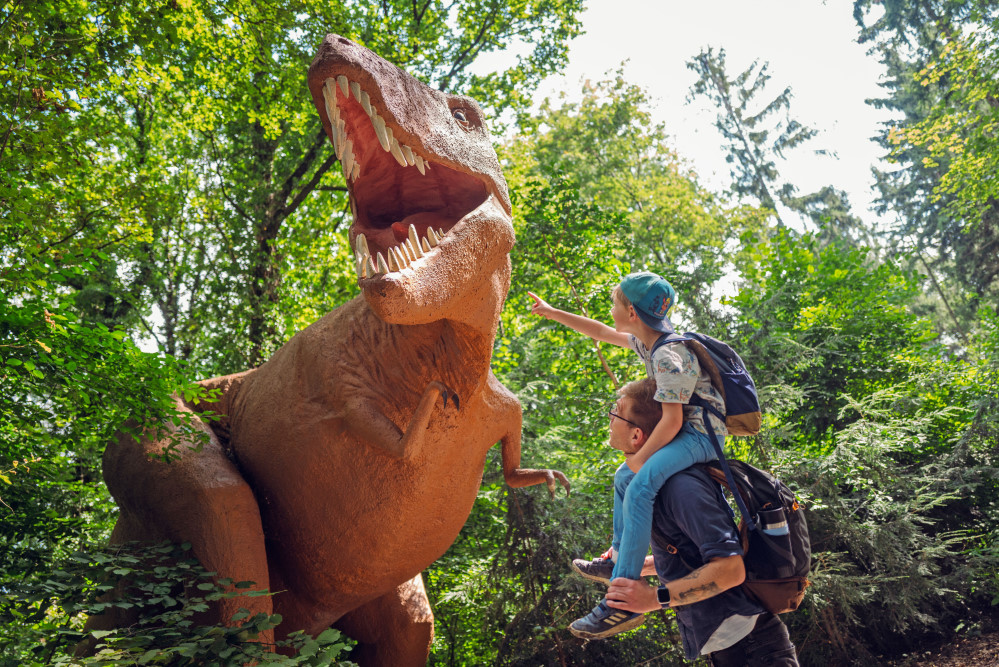 Dem Tyrannosaurus Rex zum Greifen nah kommt man in der Oberlausitz. Foto: DJD/Oberlausitz-Niederschlesien/Carsten Beier