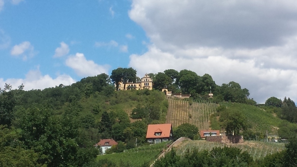 Schloss Wettinhöhe oberhalb von Zitzschewig, früher gab es hier ein Gasthaus. Über einen schmalen Wanderweg kommt man bis auf den Berg. Foto: MeiDresden,de/Frank Loose