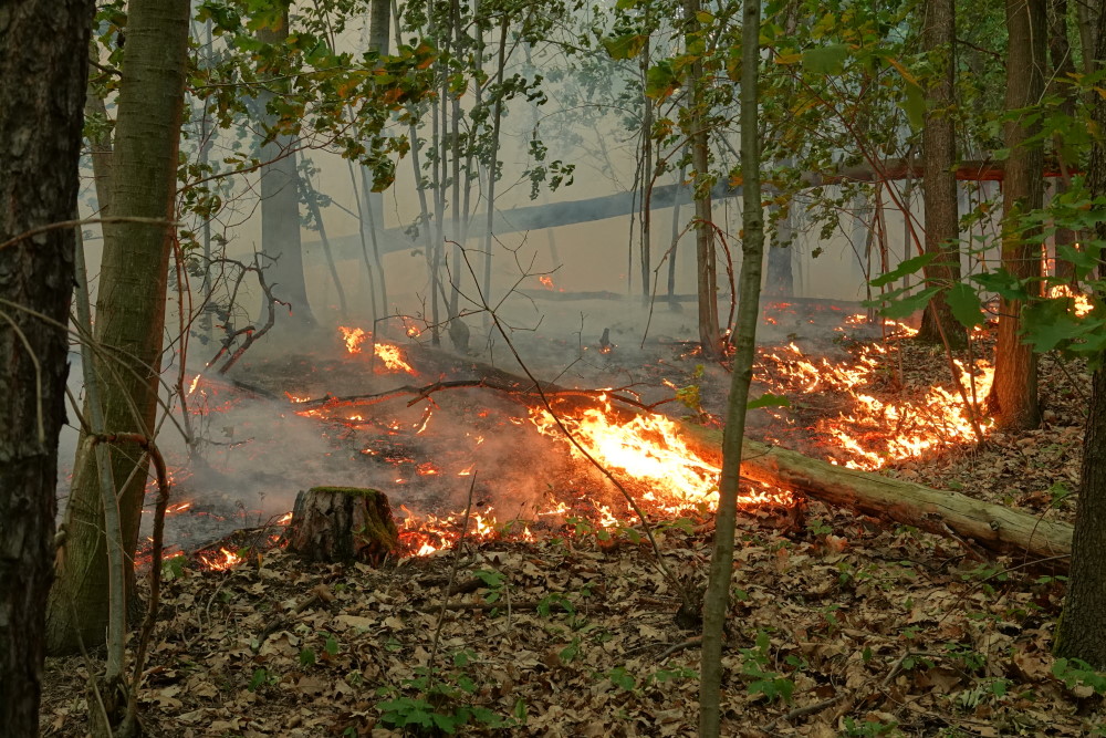 © Feuerwehr Dresden 