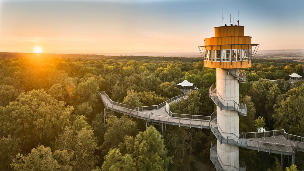 Der Baumkronenpfad im Nationalpark Hainich bietet Ausblicke über die zum UNESCO-Weltnaturerbe gehörenden Urwälder. Foto: DJD/Welterberegion Wartburg Hainich/Tino Sieland