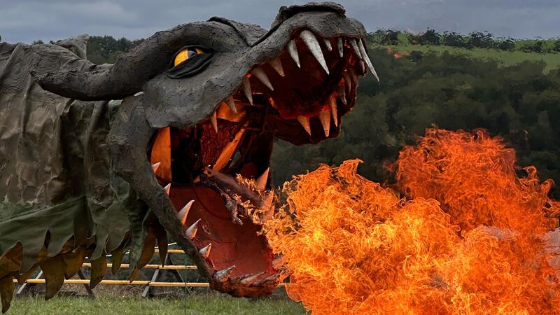 Fangdorn, ein Drachen den man kennen sollte. Foto Bibow 