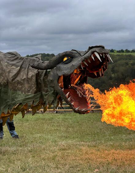Fangdorn, ein Drachen den man kennen sollte. Foto Bibow 