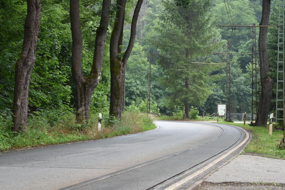 Symbolfoto © MeiDresden.de