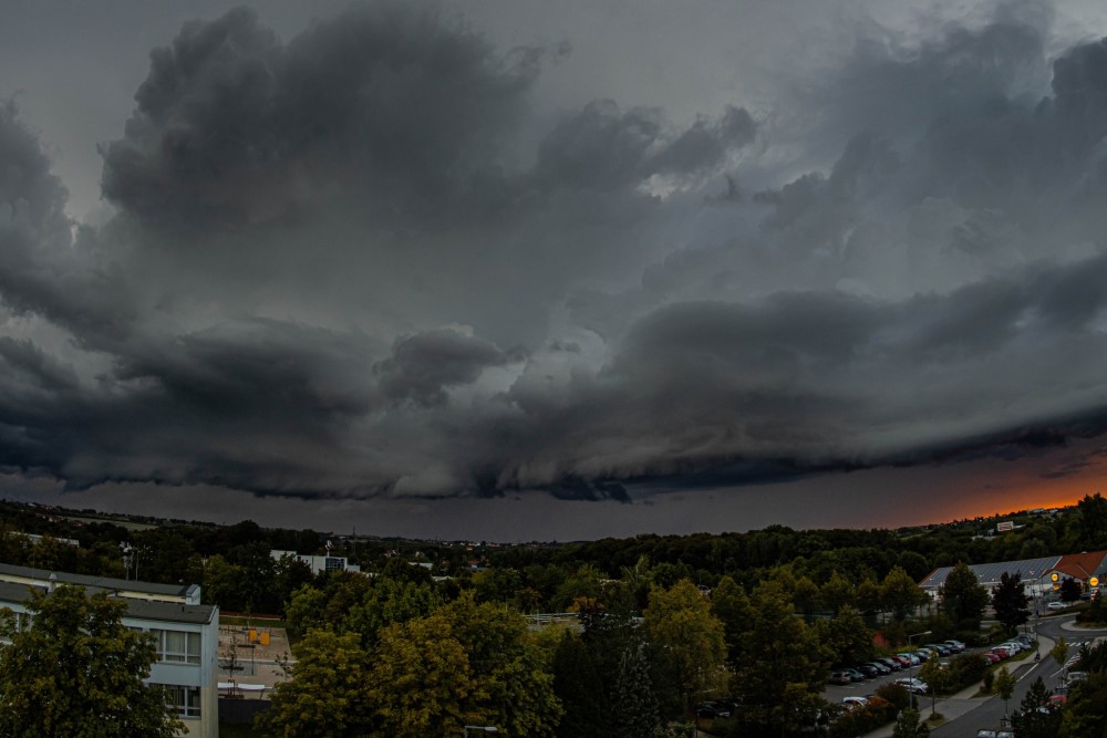 © Sylvio Müller 