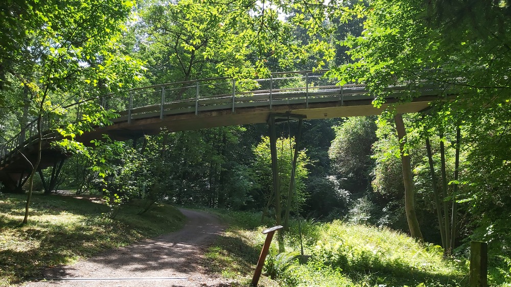 Die Zeisiggrundbrücke verbindet den östlichen(alten) Teil des Garten mit dem westlichen Teil. Foto: MeiDresden.de